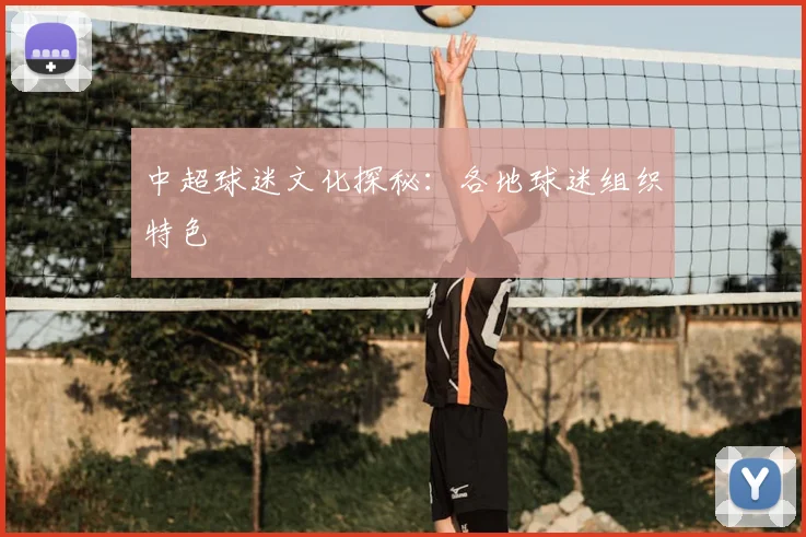 中超球迷文化探秘:各地球迷组织特色