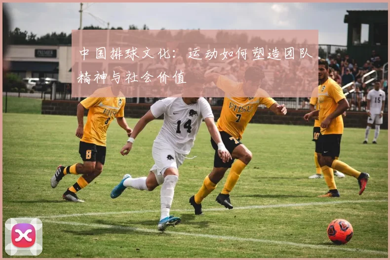 中国排球文化:运动如何塑造团队精神与社会价值
